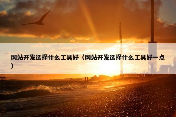 网站开发选择什么工具好（网站开发选择什么工具好一点）
