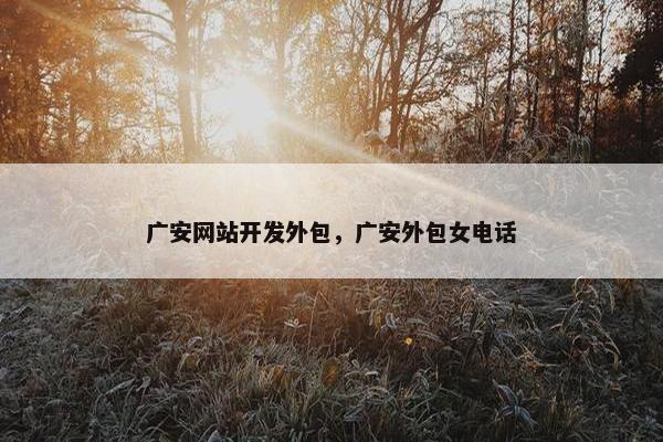 广安网站开发外包，广安外包女电话