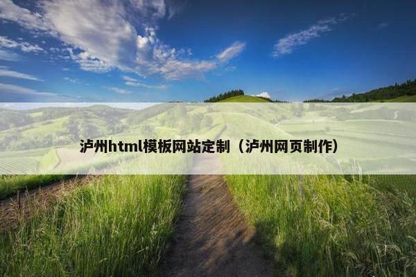 泸州html模板网站定制（泸州网页制作）