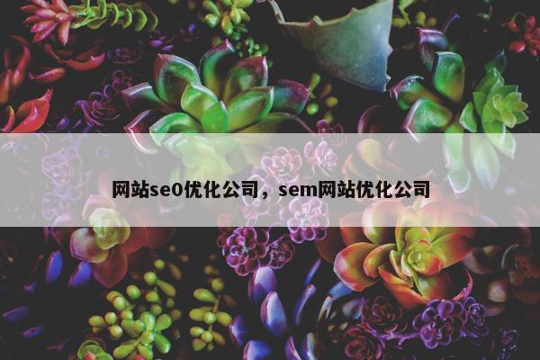网站se0优化公司，sem网站优化公司