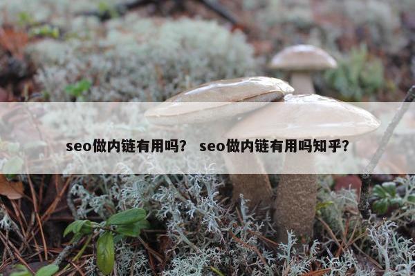 seo做内链有用吗？ seo做内链有用吗知乎？