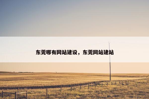 东莞哪有网站建设，东莞网站建站