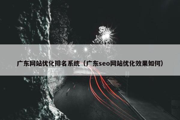 广东网站优化排名系统（广东seo网站优化效果如何）