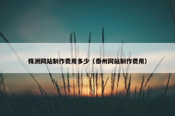 株洲网站制作费用多少（泰州网站制作费用）