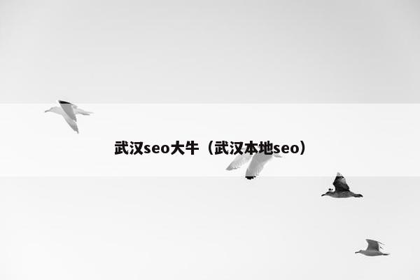 武汉seo大牛（武汉本地seo）