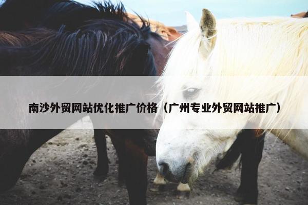 南沙外贸网站优化推广价格（广州专业外贸网站推广）