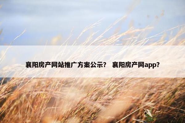 襄阳房产网站推广方案公示？ 襄阳房产网app？