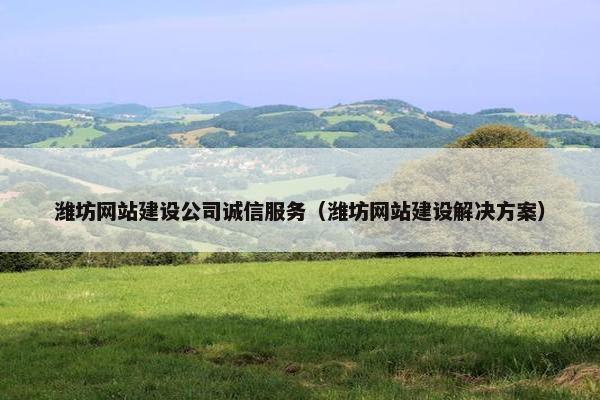 潍坊网站建设公司诚信服务（潍坊网站建设解决方案）