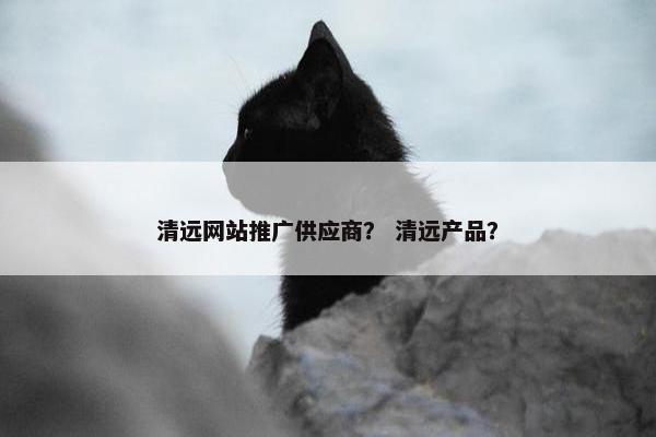 清远网站推广供应商？ 清远产品？