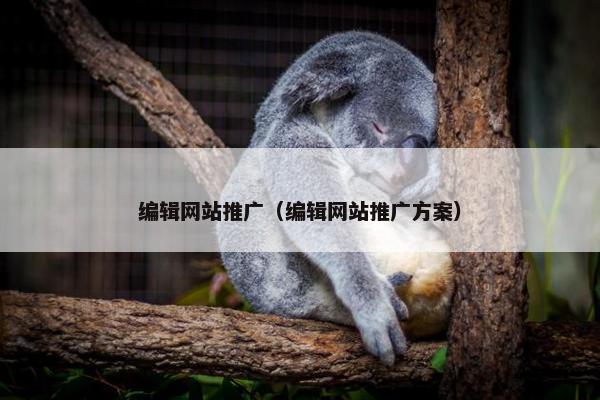 编辑网站推广（编辑网站推广方案）