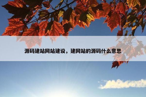 源码建站网站建设，建网站的源码什么意思