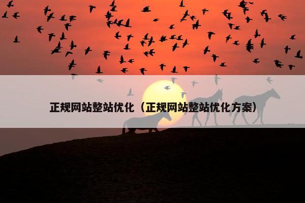 正规网站整站优化（正规网站整站优化方案）