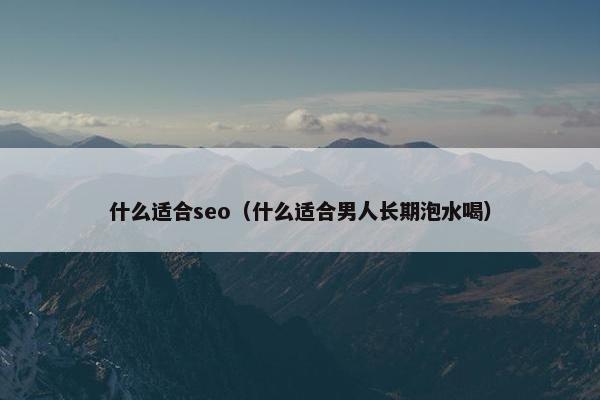 什么适合seo（什么适合男人长期泡水喝）
