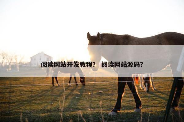 阅读网站开发教程？ 阅读网站源码？