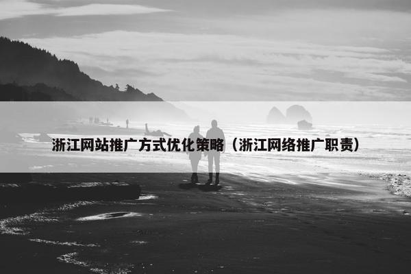 浙江网站推广方式优化策略（浙江网络推广职责）