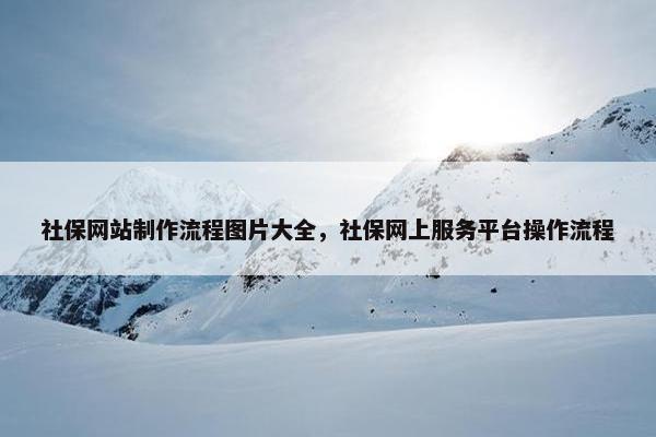 社保网站制作流程图片大全，社保网上服务平台操作流程