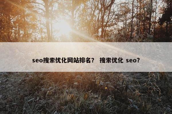 seo搜索优化网站排名？ 搜索优化 seo？