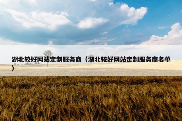湖北较好网站定制服务商（湖北较好网站定制服务商名单）
