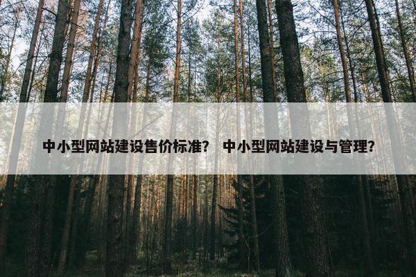 中小型网站建设售价标准？ 中小型网站建设与管理？