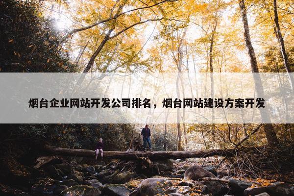 烟台企业网站开发公司排名，烟台网站建设方案开发