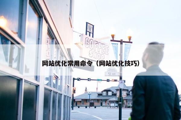 网站优化常用命令（网站优化技巧）