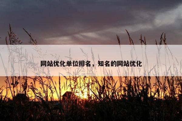 网站优化单位排名，知名的网站优化