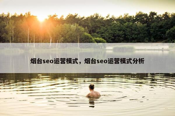 烟台seo运营模式，烟台seo运营模式分析