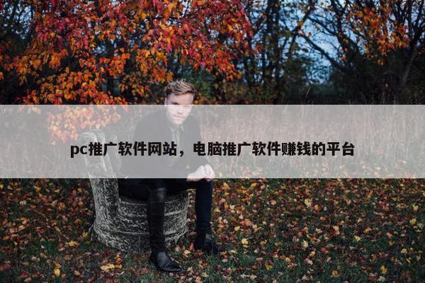 pc推广软件网站，电脑推广软件赚钱的平台