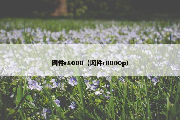 网件r8000（网件r8000p）