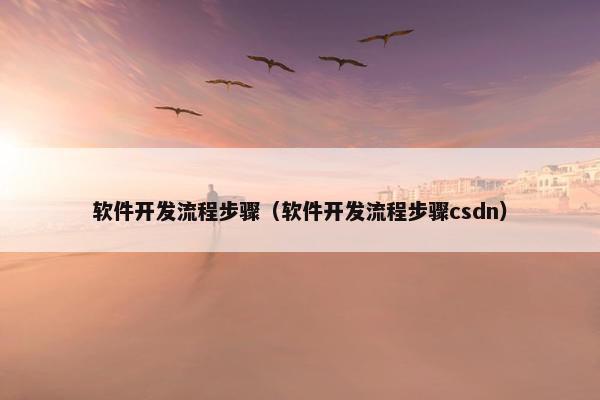软件开发流程步骤（软件开发流程步骤csdn）