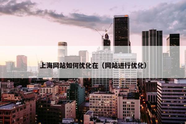 上海网站如何优化在（网站进行优化）