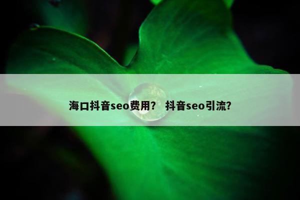 海口抖音seo费用？ 抖音seo引流？