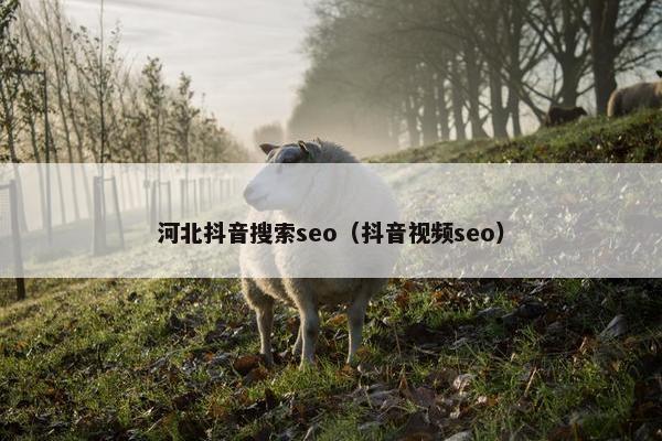 河北抖音搜索seo（抖音视频seo）