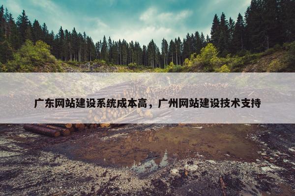 广东网站建设系统成本高，广州网站建设技术支持