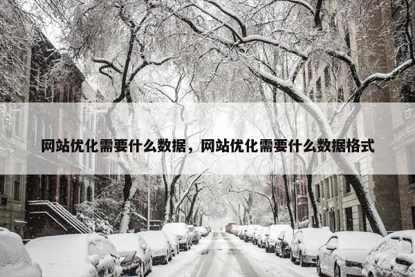 网站优化需要什么数据，网站优化需要什么数据格式