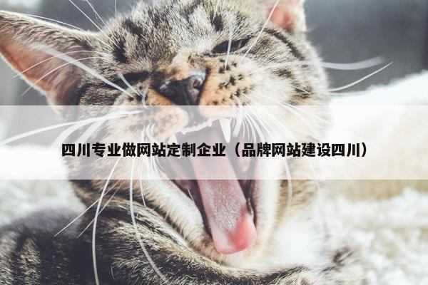 四川专业做网站定制企业（品牌网站建设四川）