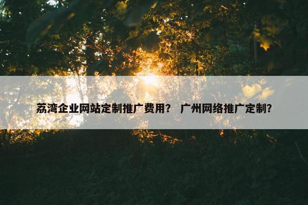 荔湾企业网站定制推广费用？ 广州网络推广定制？
