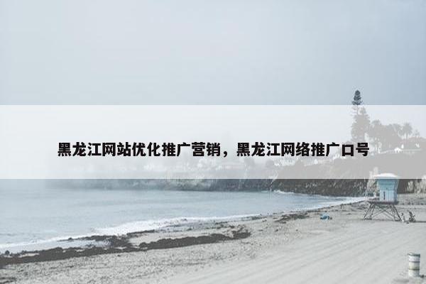 黑龙江网站优化推广营销，黑龙江网络推广口号