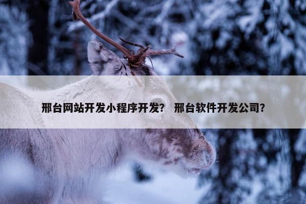 邢台网站开发小程序开发？ 邢台软件开发公司？