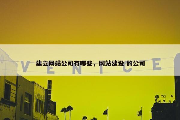 建立网站公司有哪些，网站建设 的公司
