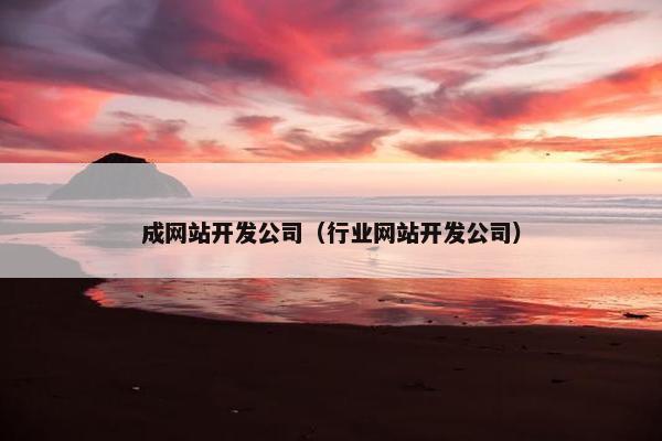 成网站开发公司（行业网站开发公司）
