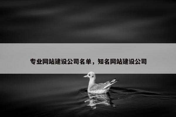专业网站建设公司名单，知名网站建设公司