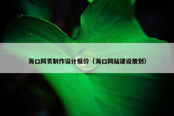 海口网页制作设计报价（海口网站建设策划）