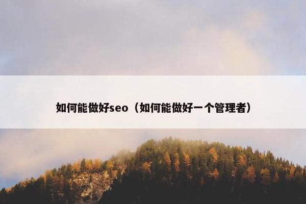 如何能做好seo（如何能做好一个管理者）