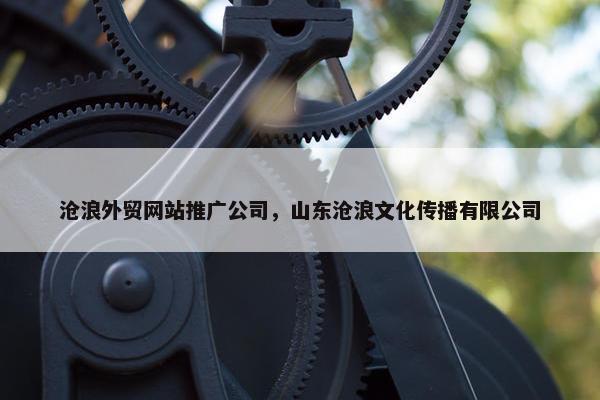 沧浪外贸网站推广公司，山东沧浪文化传播有限公司