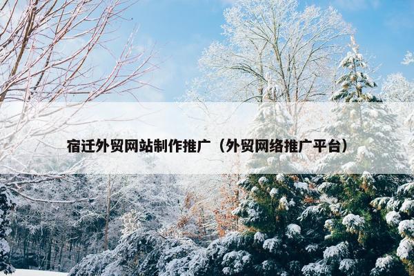 宿迁外贸网站制作推广（外贸网络推广平台）