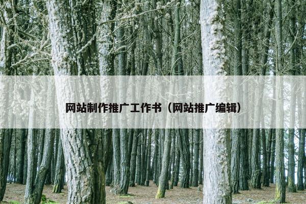 网站制作推广工作书（网站推广编辑）