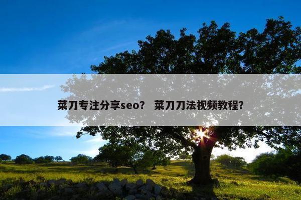 菜刀专注分享seo？ 菜刀刀法视频教程？