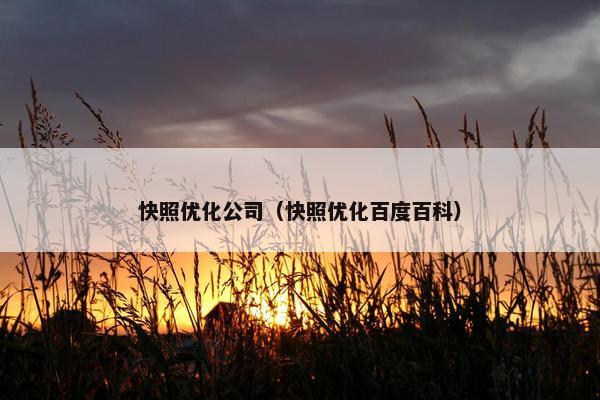快照优化公司（快照优化百度百科）