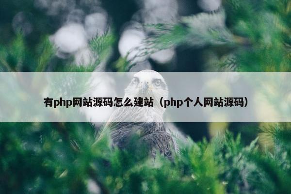有php网站源码怎么建站（php个人网站源码）